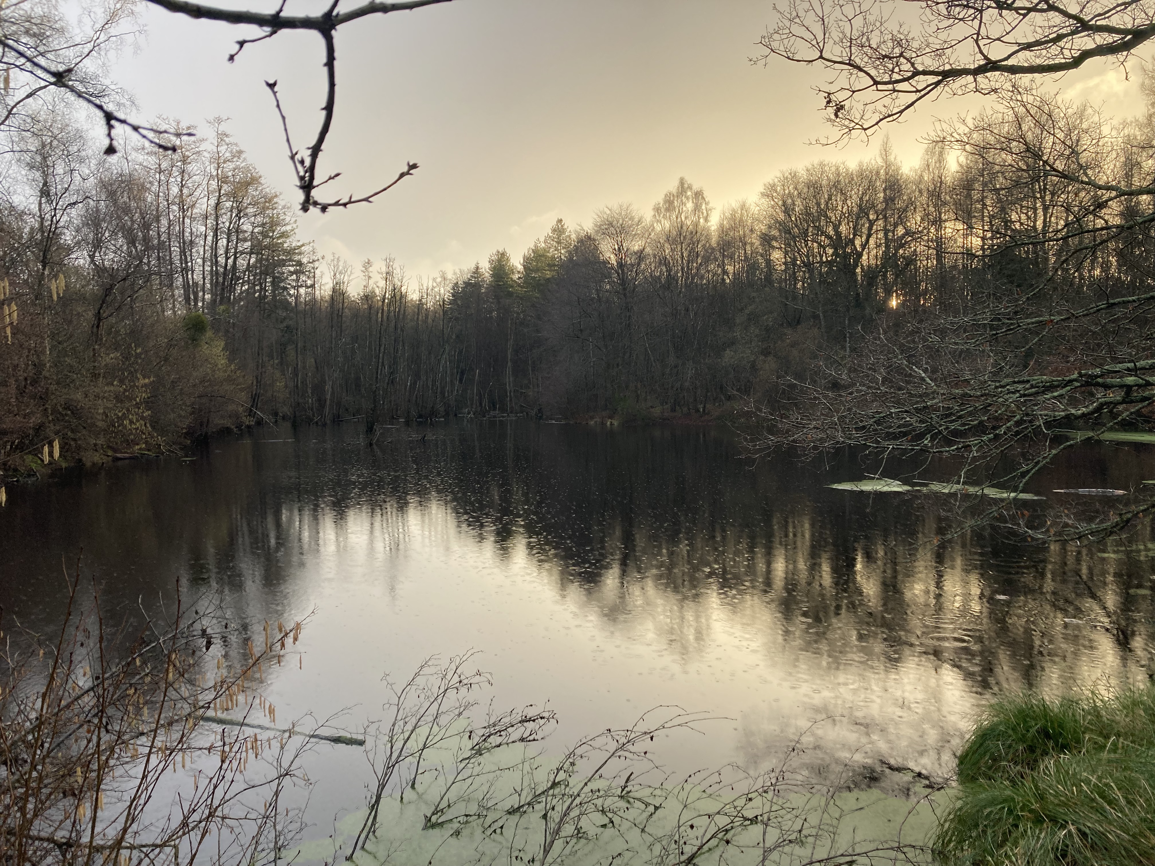 Etang Bonne Fontaine 20260205 IMG 0877