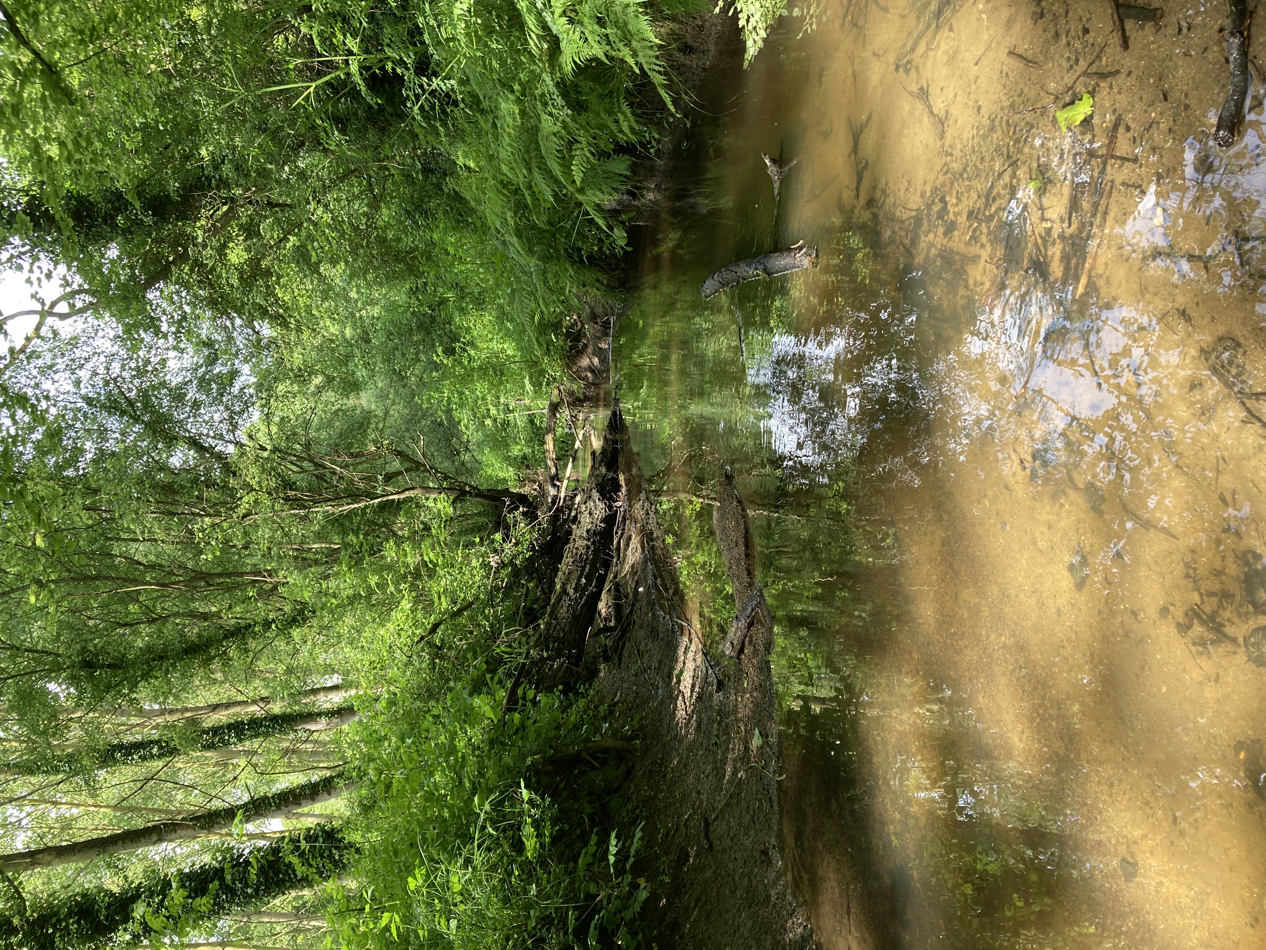 Guebriand Pluduno Guildo 20250511 IMG 7438