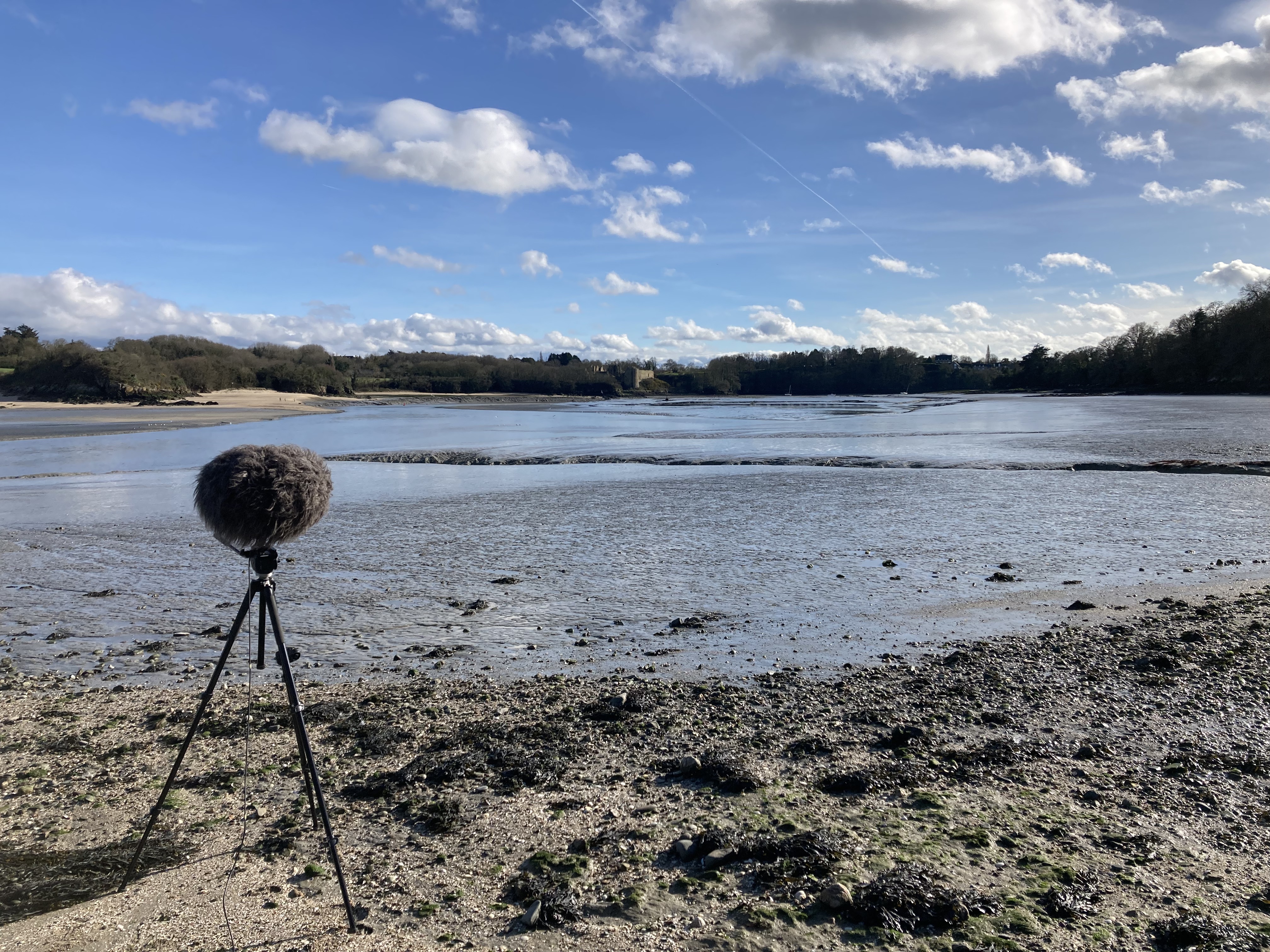 Le Guildo Estuaire 20260223IMG 1075