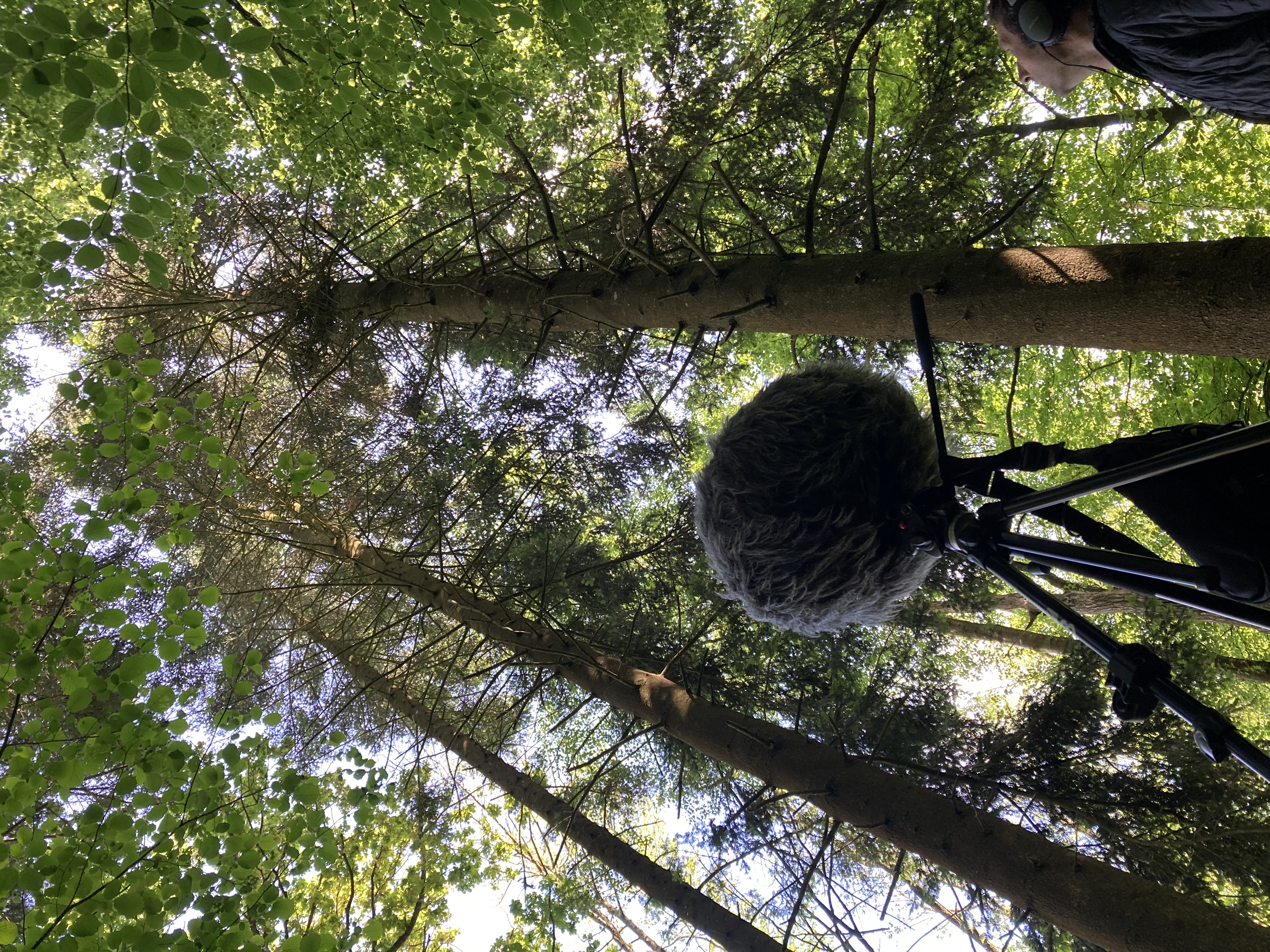 Mai_2025_PR_IMG_7534